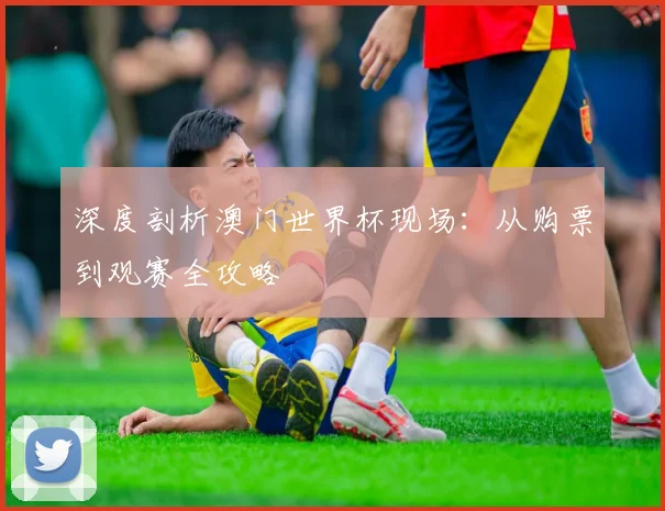 深度剖析澳门世界杯现场：从购票到观赛全攻略