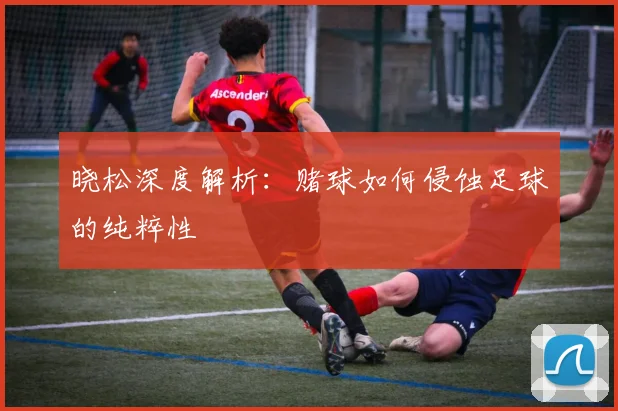 晓松深度解析:赌球如何侵蚀足球的纯粹性