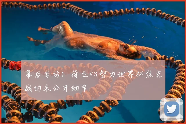 幕后专访:荷兰vs智力世界杯焦点战的未公开细节