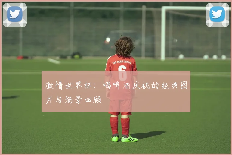 激情世界杯:喝啤酒庆祝的经典图片与场景回顾