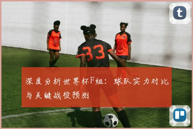 深度分析世界杯F组：球队实力对比与关键战役预测
