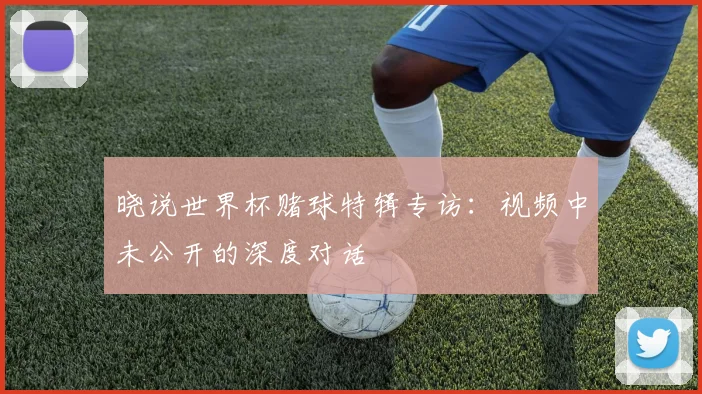 晓说世界杯赌球特辑专访:视频中未公开的深度对话