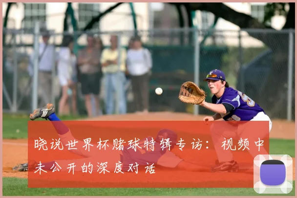 晓说世界杯赌球特辑专访:视频中未公开的深度对话